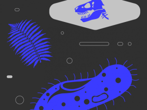 «Эволюция жизни на Земле» от SkillBox