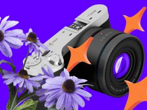 «Курс «Авторская фотография»» от Contented