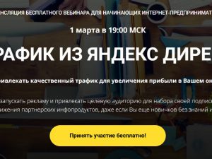 «Трафик из Яндекс Директ» от Евгения Вергуса