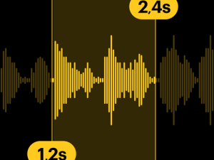 «Sound Design с нуля до PRO» от SkillBox