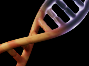 «Основы генетики» от SkillBox