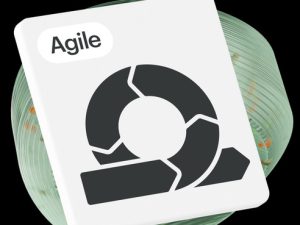 «Копия Профессия Менеджер Проектов. Курс повышения квалификации (SEO-ленд)» от SkillBox