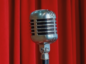 «Ораторское мастерство» от SkillBox