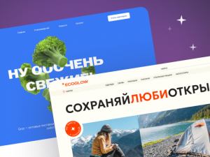 «Профессия Веб-дизайнер. Тариф Оптимальный» от Logomachine